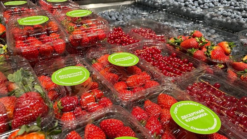 Дефицит агро-работников привел к подорожанию клубники на Кубани