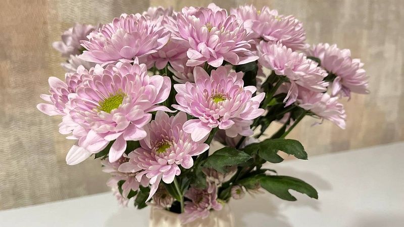 Треть краснодарцев готовы потратить до 5 тысяч рублей на первое свидание