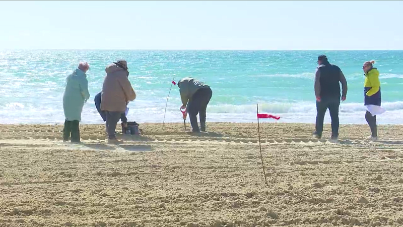 Роспотребнадзор взял 27 проб песка на тестовом пляже в Витязево