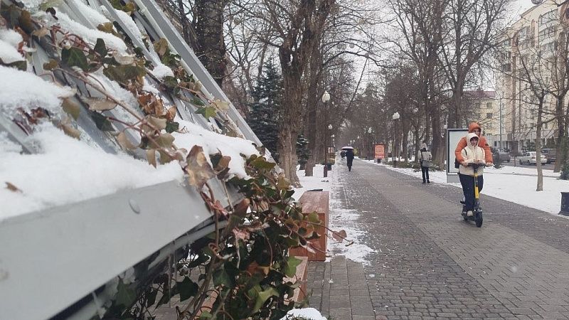 Дождь с мокрым снегом прогнозируют 13 декабря на Кубани