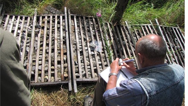 Фото: www.igm.nsc.ru 