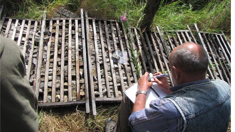 Российские геологи нашли древние залежи редкоземов в Забайкалье