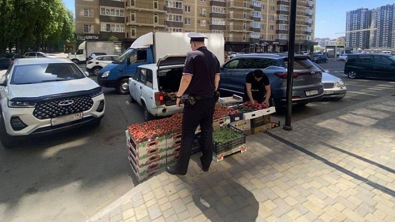 Свыше 350 случаев нелегальной торговли пресекли за июль в Краснодаре