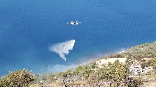 Лесной пожар на площади более 11 га потушили под Анапой