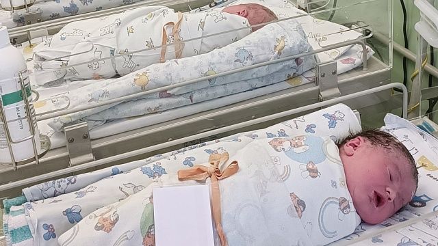 Фото: Евгений Филиппов