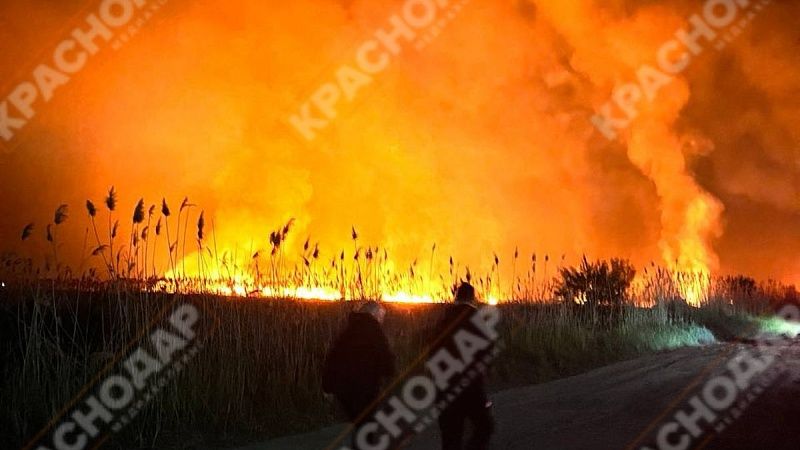 Плавни загорелись в Щербиновском районе 