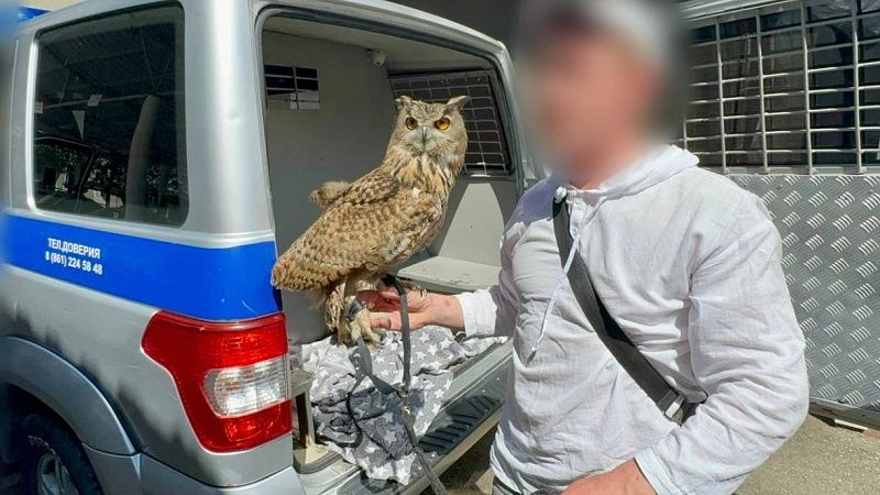 Фотоживодер предлагал туристам сделать снимки с совами в Сочи