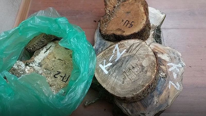 Жителя Белореченска будут судить за незаконную вырубку леса 
