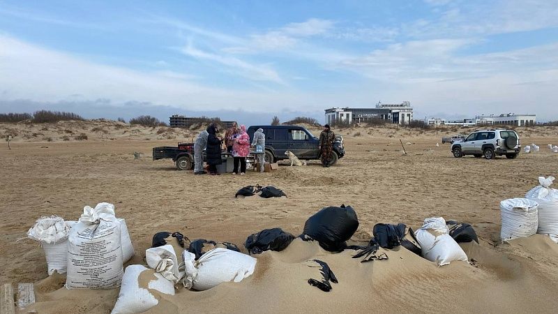 Краснодарские волонтёры за сутки собрали 20 кубометров мазутного песка в Анапе