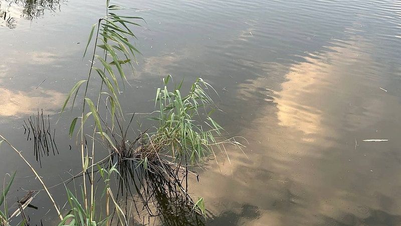 Рыбак поймал крупного змееголова и напугал односельчан в Зимбабве