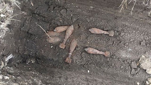 Фото: t.me/rosgvard_krasnodar