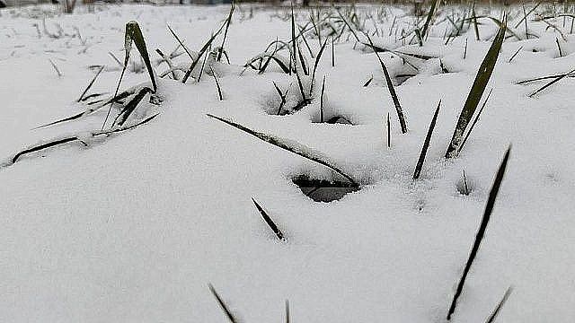 Кровля многоэтажного дома из-за снега просела в Кемеровской области
