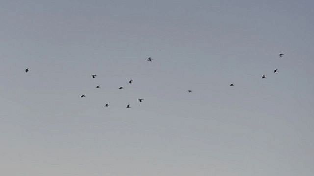 От атаки БПЛА пострадали два частных дома в станице Северская на Кубани