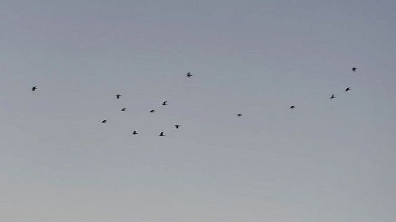 От атаки БПЛА пострадали два частных дома в станице Северская на Кубани