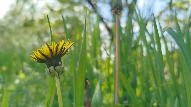 Аномальную и рекордную жару обещают синоптики летом на Кубани