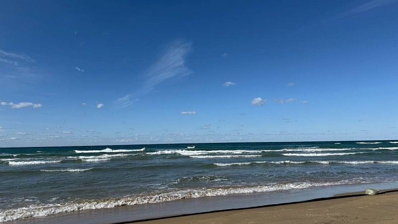 Роспотребнадзор подтвердил безопасность воды и рыбы в Чёрном море 