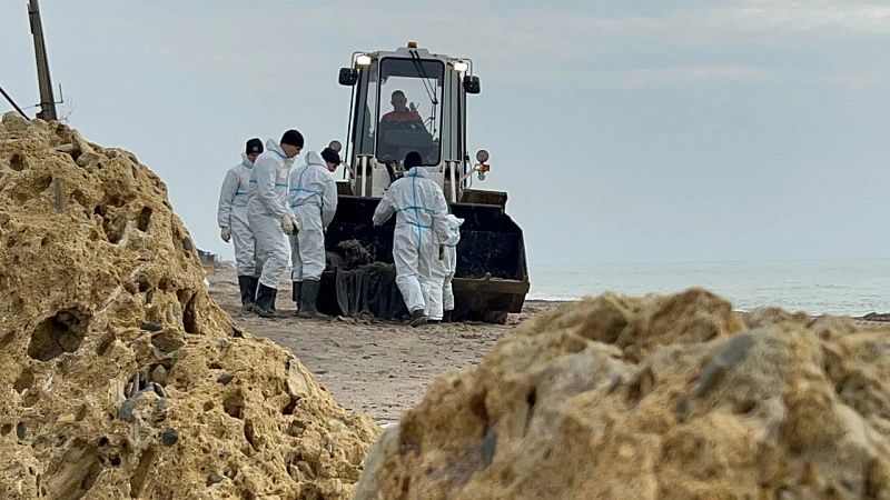 Учёные двух вузов предложили методики для очистки побережья в Анапе