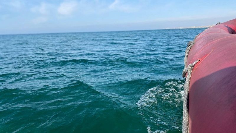 Кит попытался проглотить, но выплюнул молодого мужчину в Чили