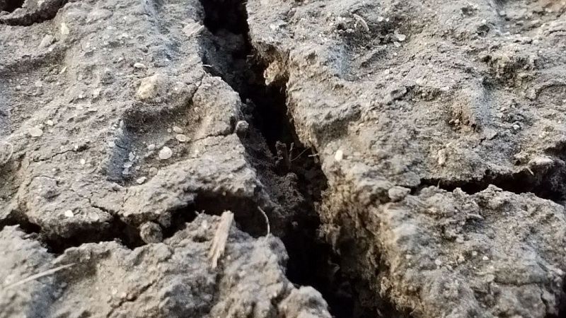 Сбой в Тихом океане приведет к мегазасухе в США