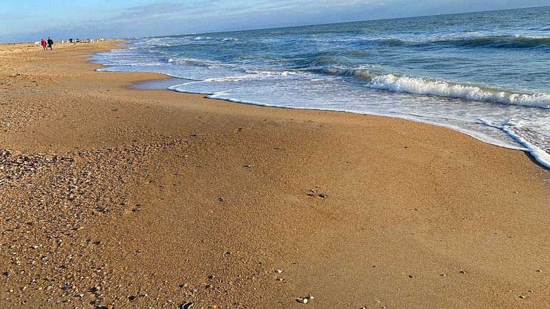 Старые выбросы мазута на пляжах нашли после ураганного ветра в Анапе