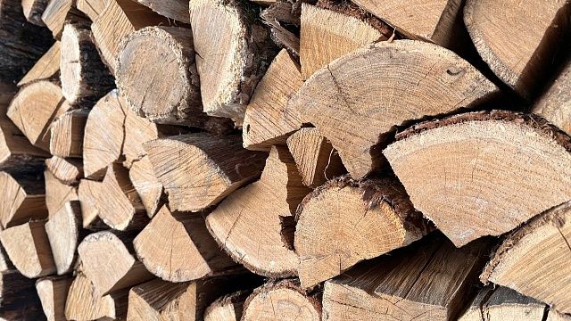 Фото: телеканал «Краснодар»