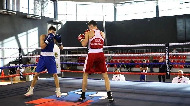 В Краснодаре проходят соревнования по боксу. Фото: пресс-служба администрации Краснодарского края 