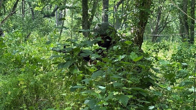 К стройке антидроновых коридоров принудили жителей Харьковской области