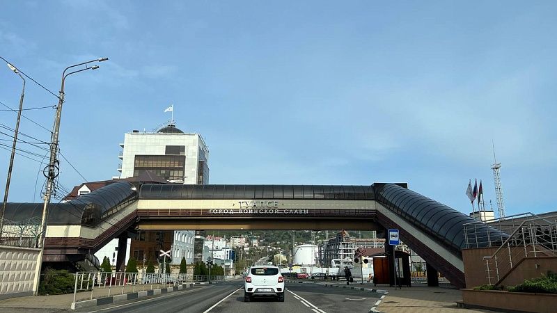 Опасного вредителя в партии гвоздик из Турции нашли в порту Туапсе