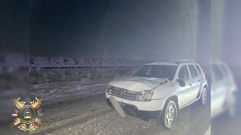 На трассе «Краснодар – Ейск» пешехода сбили насмерть в темное время суток