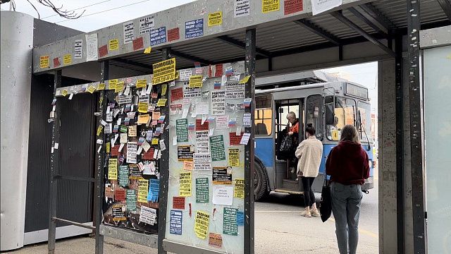 В Краснодаре идут обсуждения нового вида остановок общественного транспорта. Фото: телеканал «Краснодар»