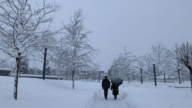 В Краснодаре выпало рекордное количество снега за всю историю метеонаблюдений 