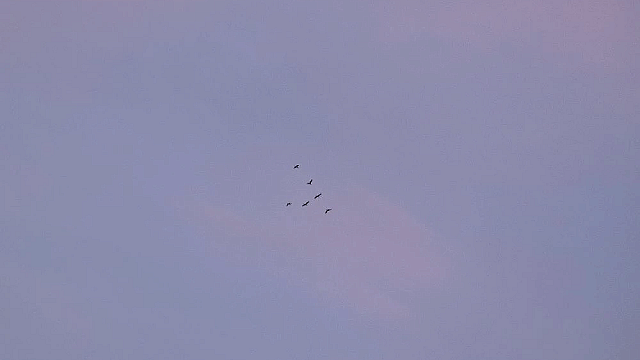 Фото: телеканал «Краснодар»