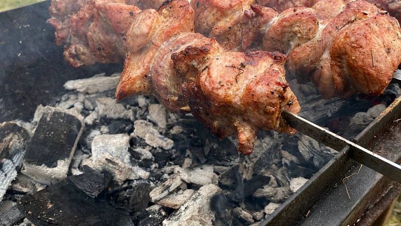 Эксперт Васильев рассказал, какой штраф грозит за шашлыки в неположенном месте 