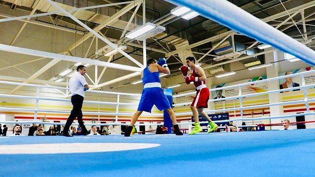 В краевом чемпионате по боксу примут участие 210 кубанских спортсменов