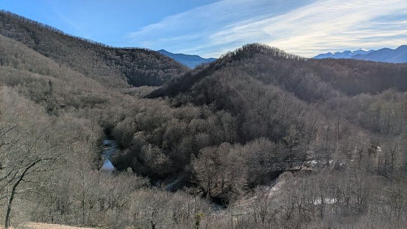 Посещение глэмпингов и кемпингов увеличилось на 15% в 2024 году на Кубани