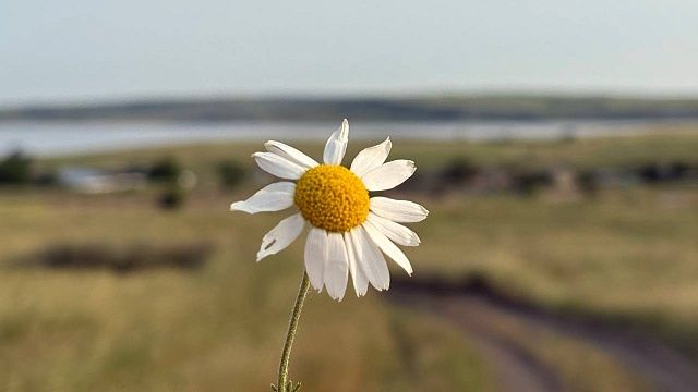 До +34°С и без осадков будет 24 июля в Краснодаре