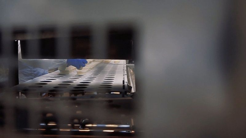 На ПМЭФ-2025 развитие промышленности станет ключевой темой для Краснодара 