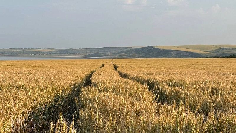 Фейком назвали выплаты за отказ от контракта с Минобороны в оперштабе Кубани