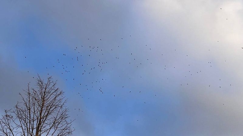 Киевский режим второй раз за вечер атаковал Кубань 13 февраля