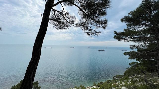Чёрное море безопасно для туристов. Фото: телеканал «Краснодар»