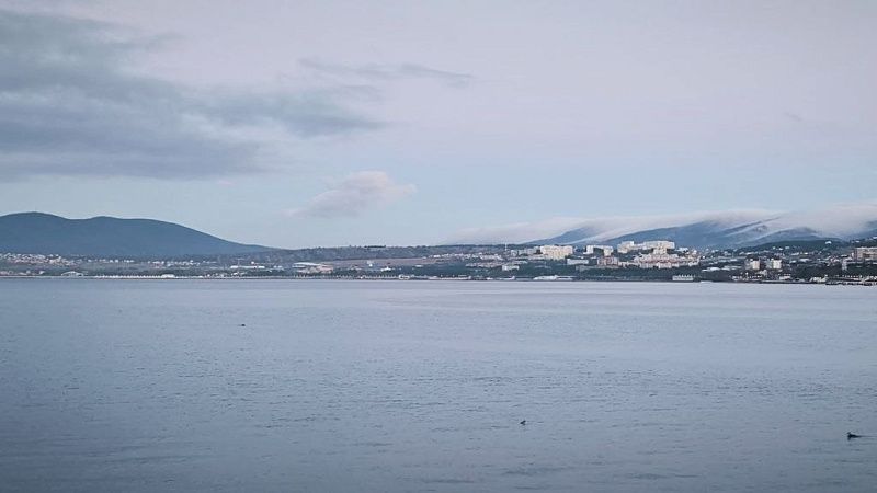 Столкновение двух судов обошлось без жертв и последствий вблизи Новороссийска