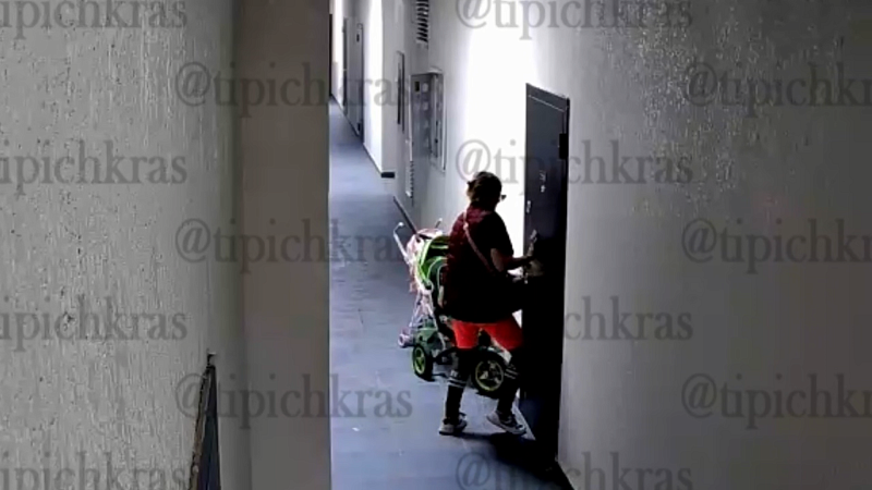 На запертую и воющую овчарку пожаловались жители дома в Краснодаре