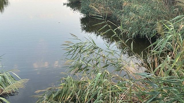 Врач Ариэль таинственно исчез после прогулки у озера в Петербурге