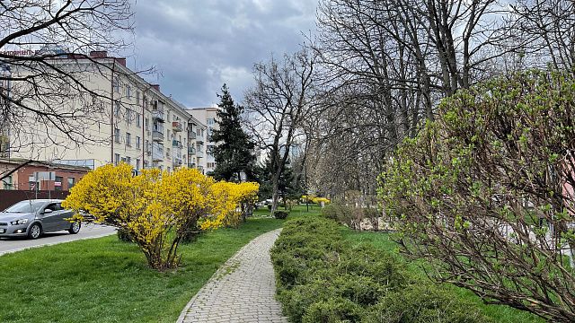 Днем 8 апреля в Краснодаре пройдет небольшой дождь с грозой