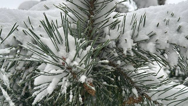 Фото: телеканал «Краснодар»