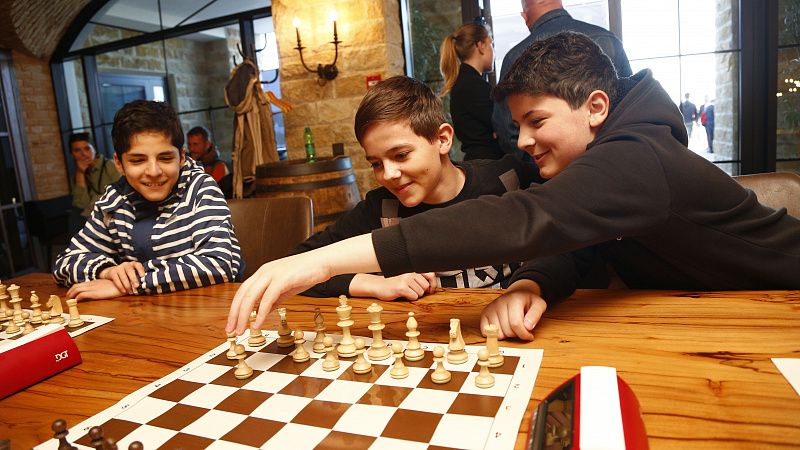 Теннис, шахматы, бадминтон, тхэквондо: на выходных в Краснодаре пройдут несколько спортивных турниров 