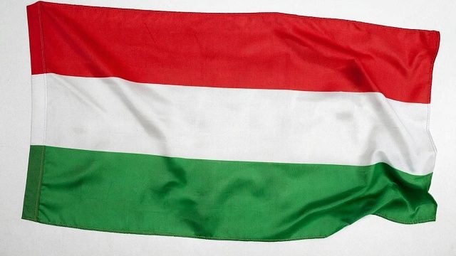 Сенатор Джабаров объяснил причины поражения партии Орбана на выборах в Венгрии