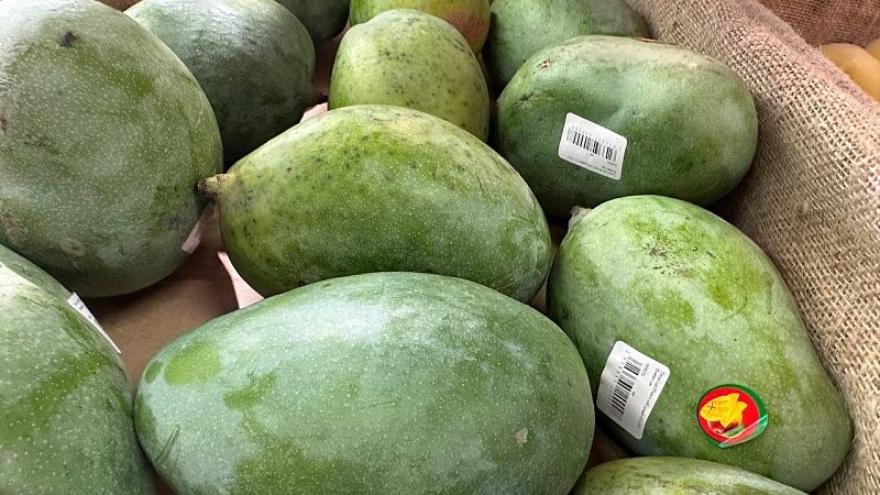 Смертельный вирус Нипах нашли в манго из Индии