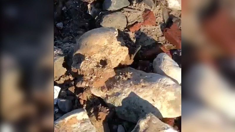 Человеческие останки на пляже водохранилища нашли отдыхающие в Чкаловске