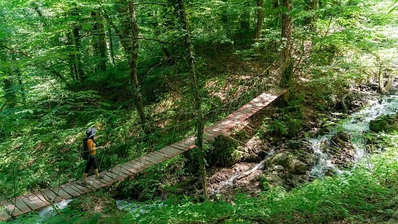 Первые в сезоне экотропы открылись на горном курорте «Красная Поляна»